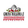 gmina-bilgoraj-logo-kolor-corel